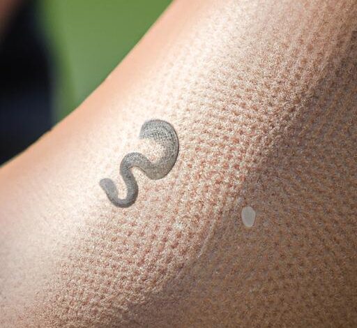 Poisonous Snake Bite Mark